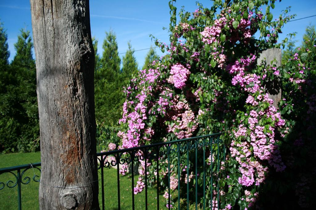 ホテルQuinta D'Arroteia ヴィゼウ エクステリア 写真