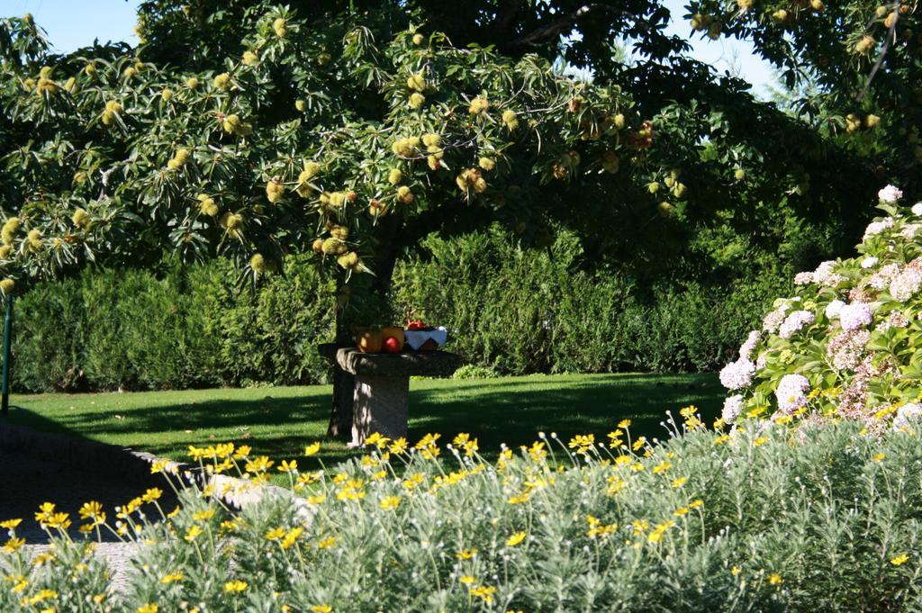 ホテルQuinta D'Arroteia ヴィゼウ エクステリア 写真